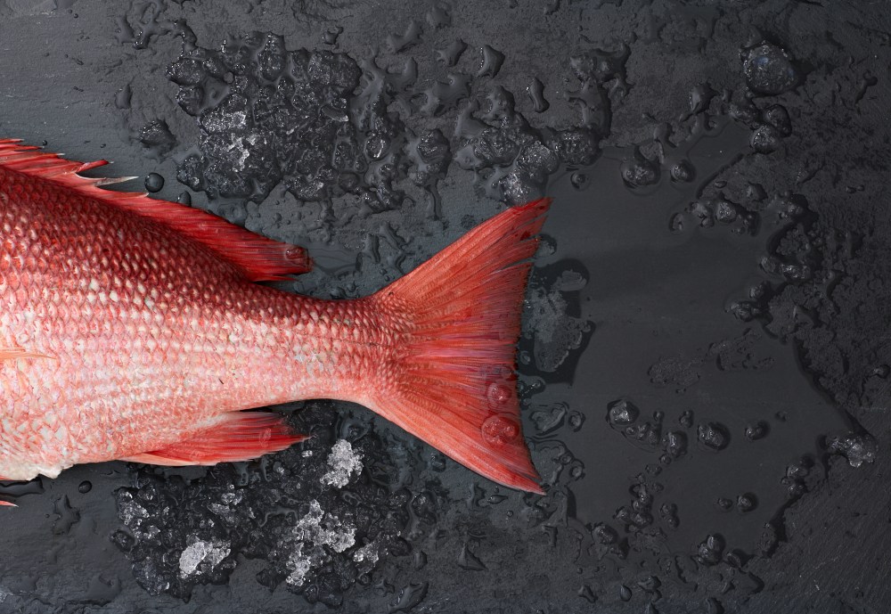 160605_OceanBox_creative_2_316